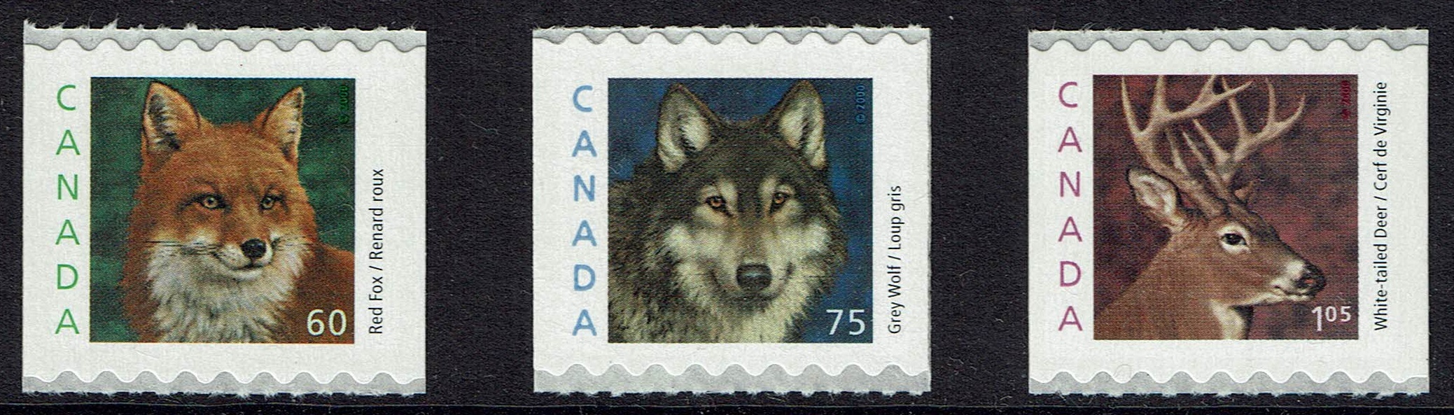 Canada SG 2026-8